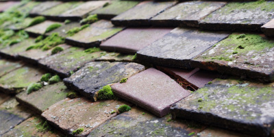 Shoreham By Sea roof repair costs